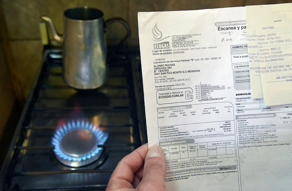 Calefacción de luz o de gas ¿Qué es más barato este invierno en Argentina?