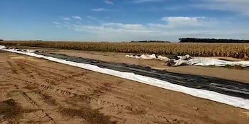 La banda vació silo bolsas y se llevó todo en camiones en un par de horas (Policía de Córdoba).