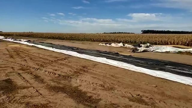 La banda vació silo bolsas y se llevó todo en camiones en un par de horas (Policía de Córdoba).