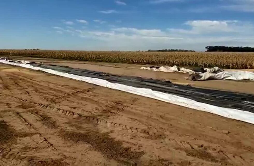 Cayó una banda que robó casi 300 toneladas de soja en Buchardo