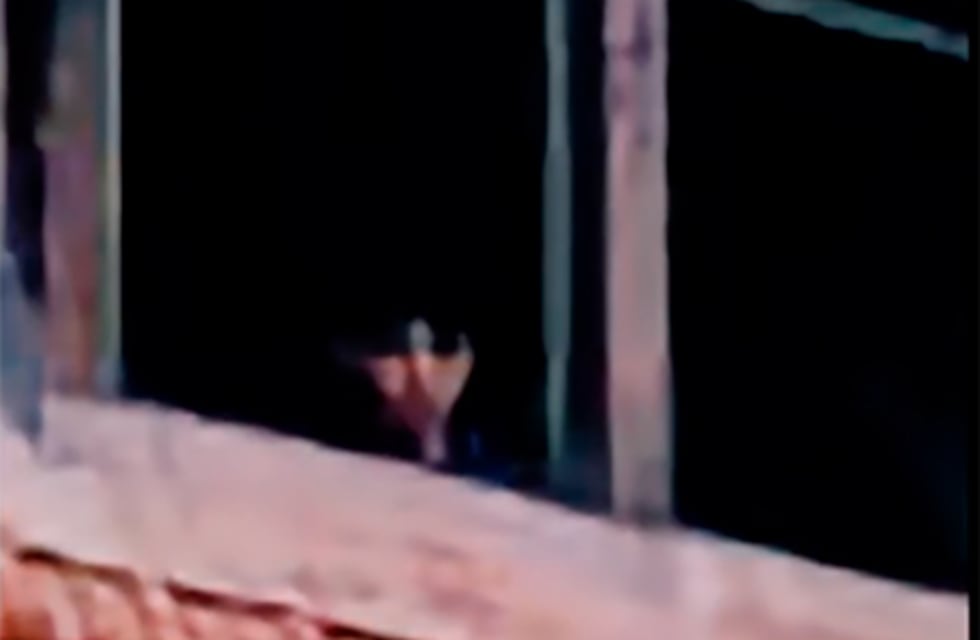 Santa María de Punilla: habrían filmado un fantasma en el ex- hospital psiquiátrico