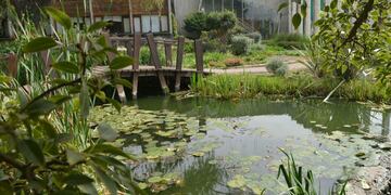 El espacio volverá a funcionar de lunes a domingo de 9 a 19.