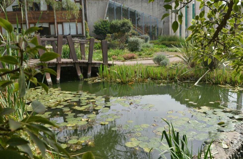 Reabrió sus puertas el Jardín Botánico de Córdoba