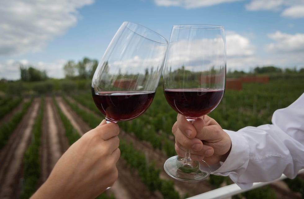 Día del Vino Argentino: Mendoza celebra toda la semana a la Bebida Nacional