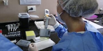 Coronavirus: desarrollan un kit para la detección de anticuerpos neutralizantes