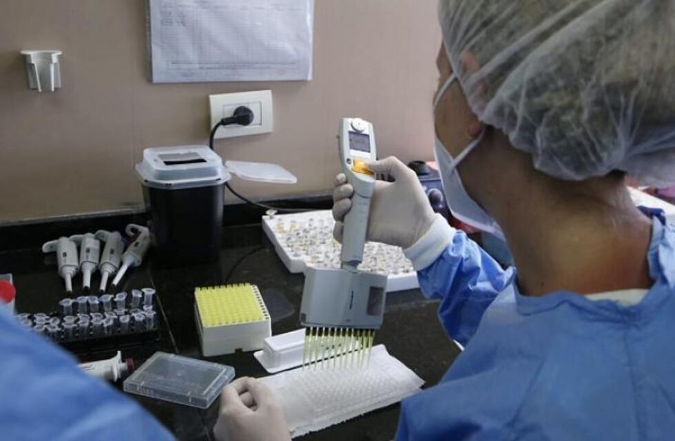 Coronavirus: desarrollan un kit para la detección de anticuerpos neutralizantes