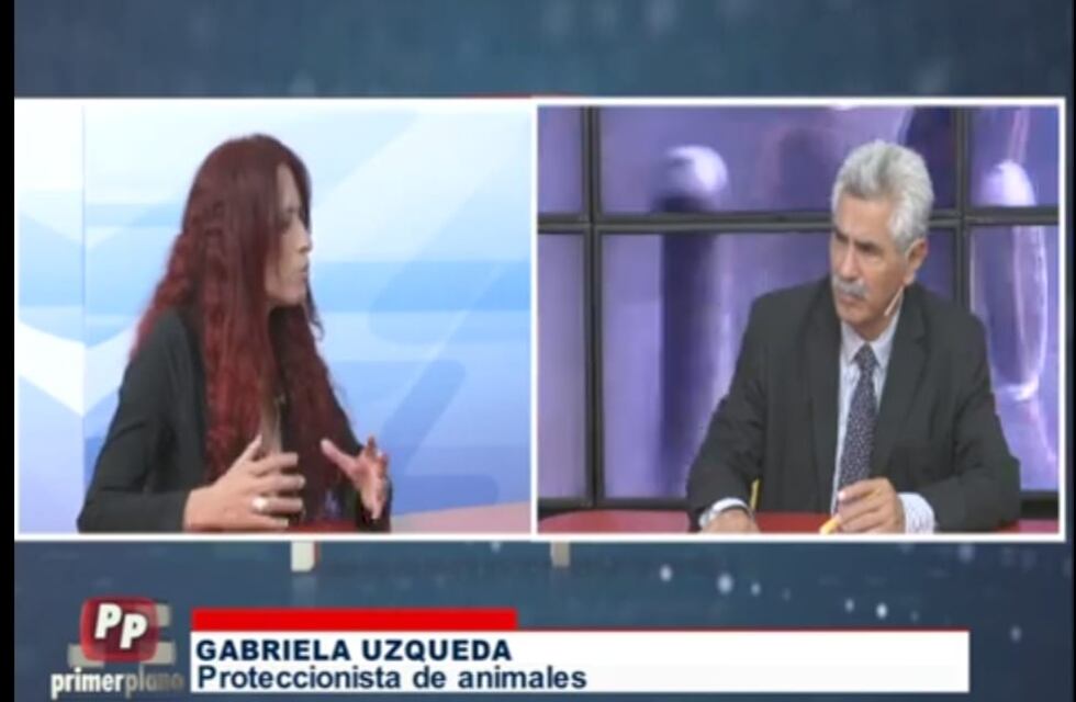 “Es importante entender que el bienestar animal abarca a toda la sociedad”