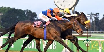 Descontrol en el hipódromo de San Isidro: apostadores rompieron parte de las instalaciones por la decisión del juez.