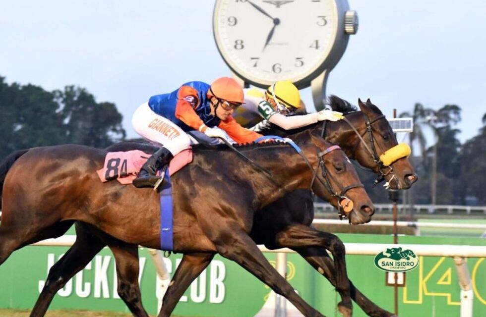 Descontrol en el hipódromo de San Isidro: por la decisión de un juez, apostadores rompieron parte de las instalaciones