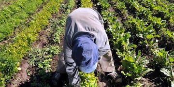 Desde el Gobierno analizan un plan integral para apoyar a los productores de alimentos orgánicos de Mendoza. Gentileza Los Andes