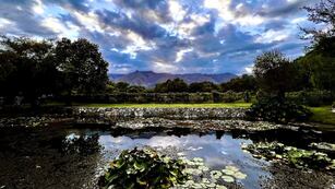 Aráoz de La Madrid, el hospedaje en medio de una bodega para hacer una escapada en Córdoba este 2025.