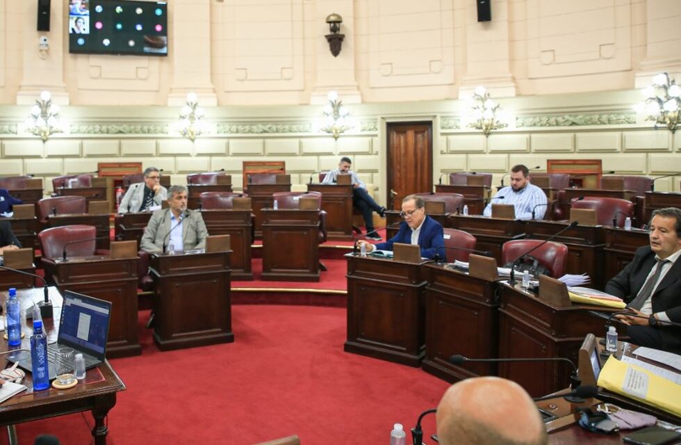 Nuevo directorio de Vicentin no logró despejar dudas en reunión con diputados