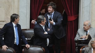 El diputado y candidato presidencial Javier Milei será clave para el éxito o el fracaso de la sesión por la ley de alquileres (Foto: Federico López Claro)