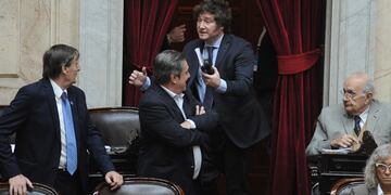 El diputado y candidato presidencial Javier Milei será clave para el éxito o el fracaso de la sesión por la ley de alquileres (Foto: Federico López Claro)