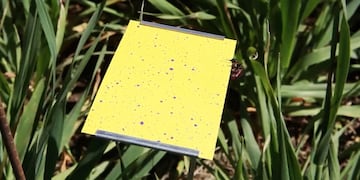 jornadas de buenas prácticas agrícolas