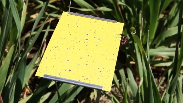 jornadas de buenas prácticas agrícolas