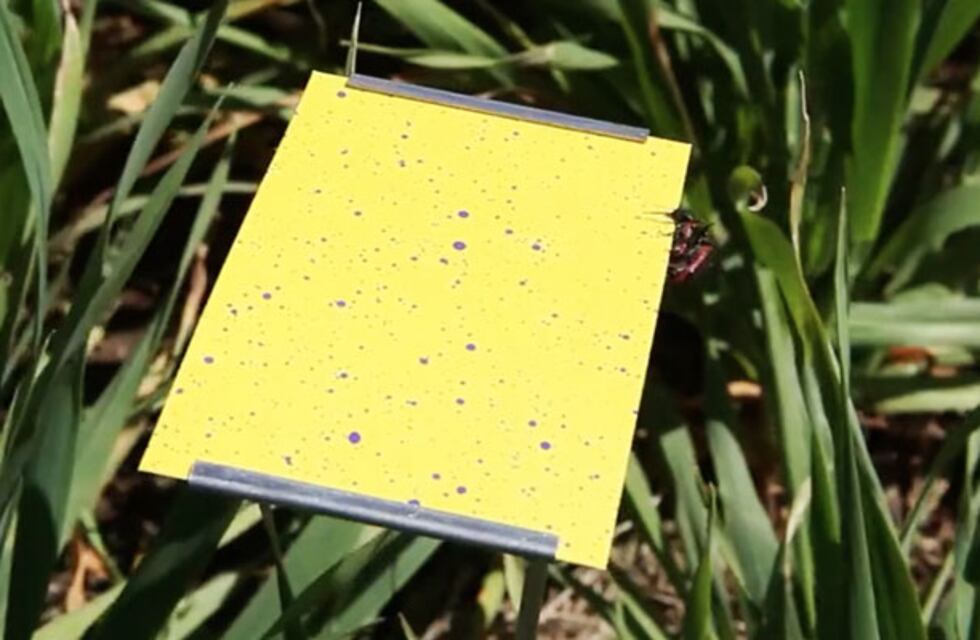 Agroquímicos: la Rural y el Concejo organizaron una jornada demostrativa