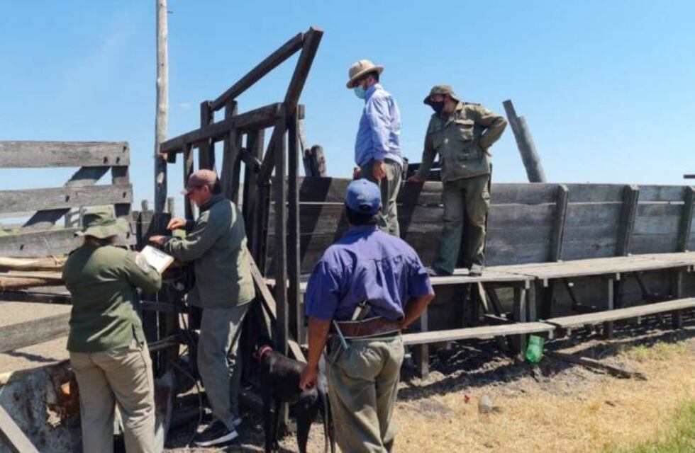 Detuvieron al ex diputado provincial Hernán Agú y a su hijo por robo de ganado