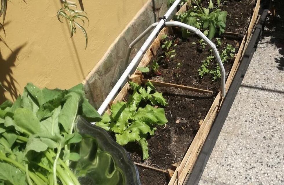 Inscripción al programa Huerta Familiar Santafesina