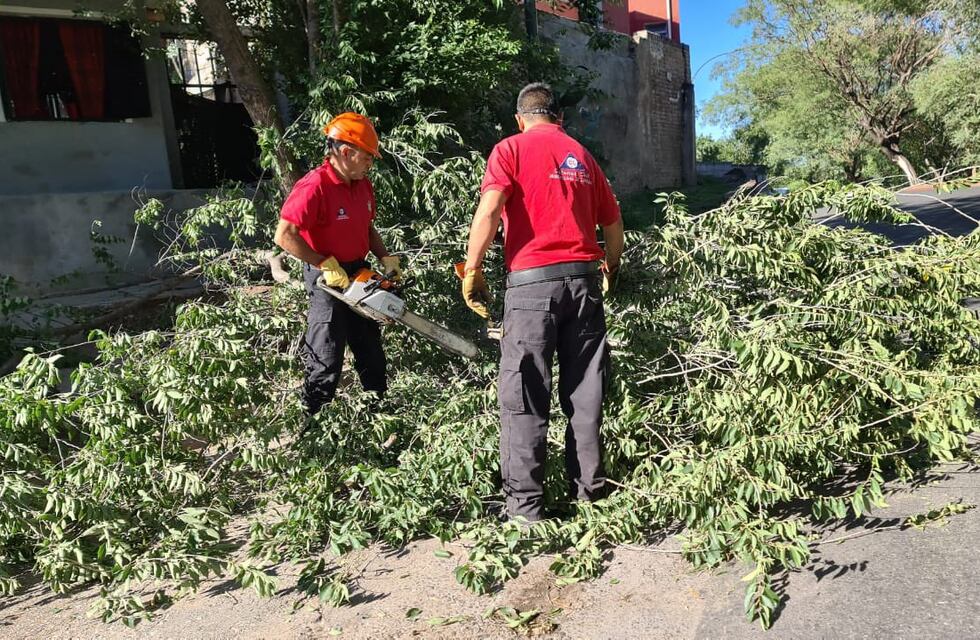 Los barrios de Córdoba con cortes de luz tras el temporal