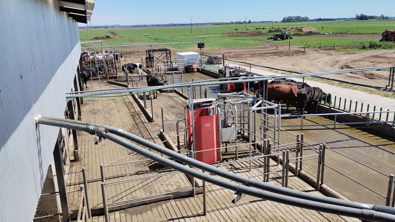 Alumnos de 7mo año de la Escuela Agropecuaria de Tres Arroyos visitaron el tambo La Colorada