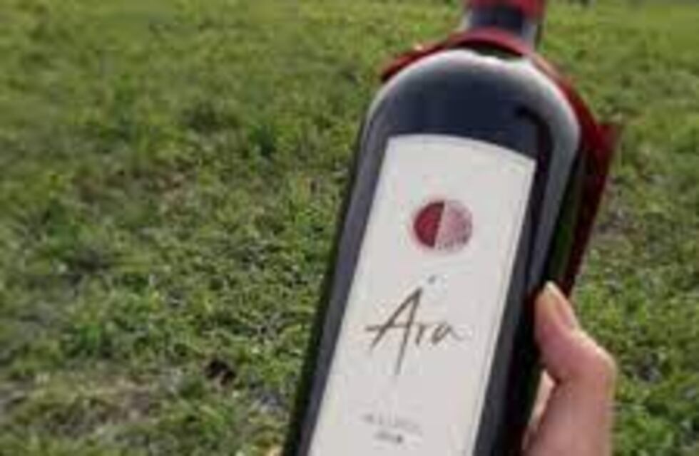 Los Aromitos: en Colonia Ensayo se produce vino de calidad y se hace ecoturismo