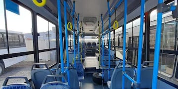 Transporte en Tandil: cuáles son las frecuencias de los colectivos de la ciudad