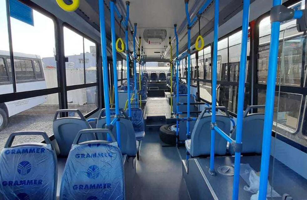 Transporte en Tandil: cuáles son las frecuencias de los colectivos de la ciudad
