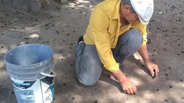 Marcelo Urbano, el albañil inciará un reclamo económico contra su padre biológico (Gentileza Cba24n).