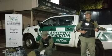 Incautan marihuana abandonada en Posadas.