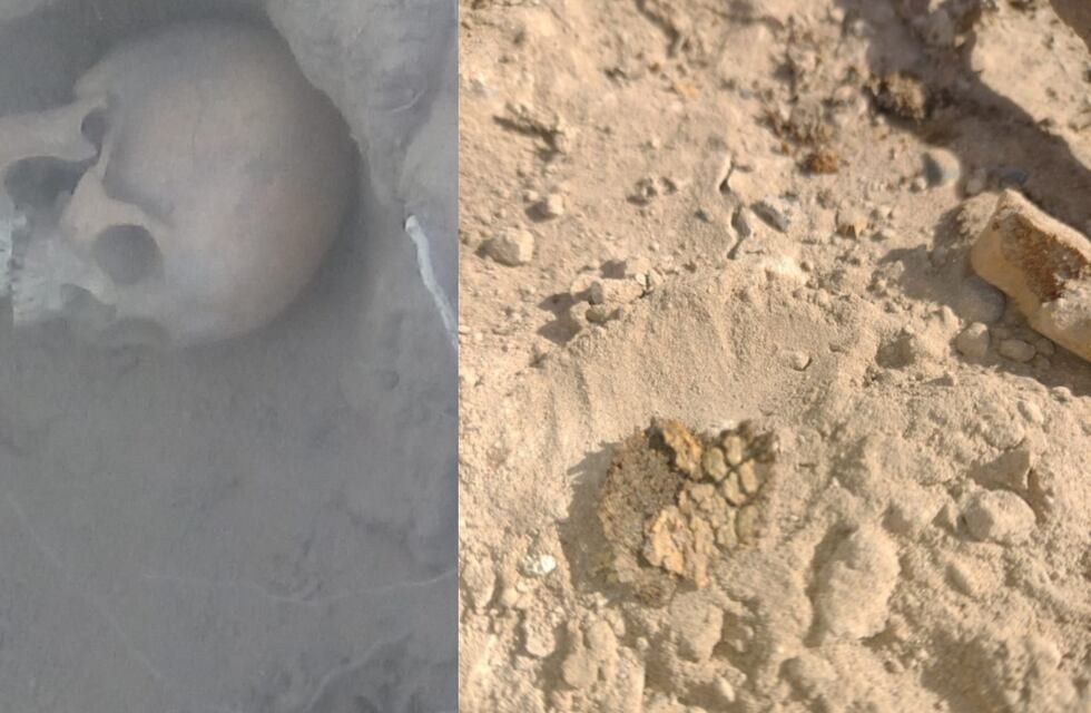 Increíble hallazgo: encontraron cerca de 20 tumbas de la comunidad huarpe en Guanacache