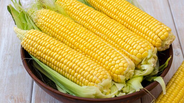 Hay una gran cantidad de razas de maíz que se pueden todavía encontrar en nuestro país.