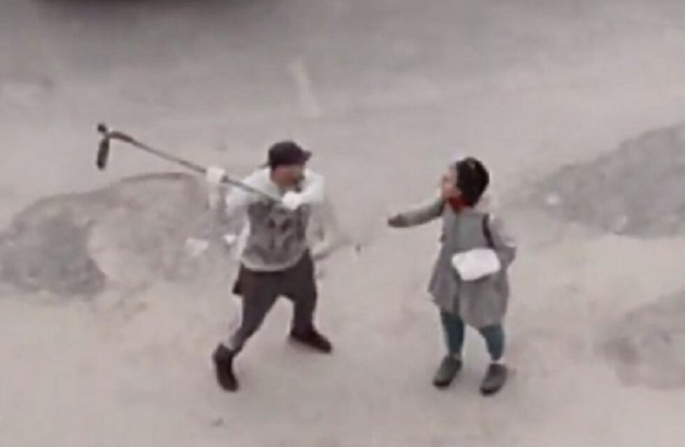 Fuerte video: un platense le quebró el brazo a una mujer en medio de una discusión por la tala de un árbol