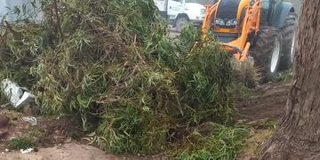 Higiene Urbana atendió reclamos en distintos puntos de la ciudad