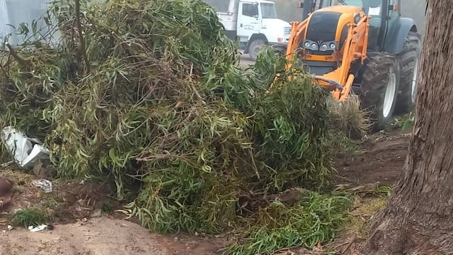 Higiene Urbana atendió reclamos en distintos puntos de la ciudad