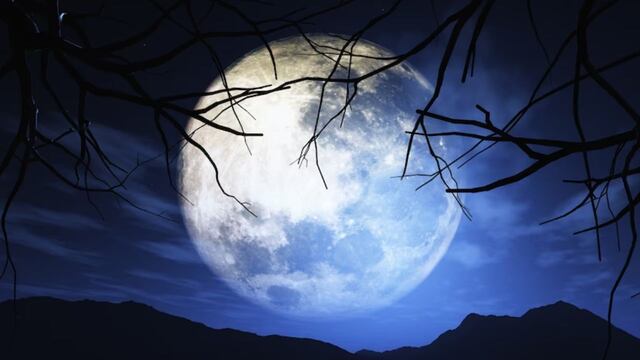 Luna llena de febrero 2023: estos cuatro signos tendrán un momento determinante en sus vidas.