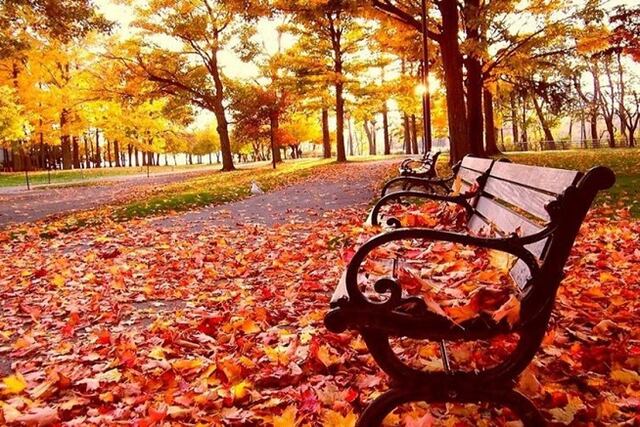 Este sábado tiene lugar el equinoccio de otoño 2021.