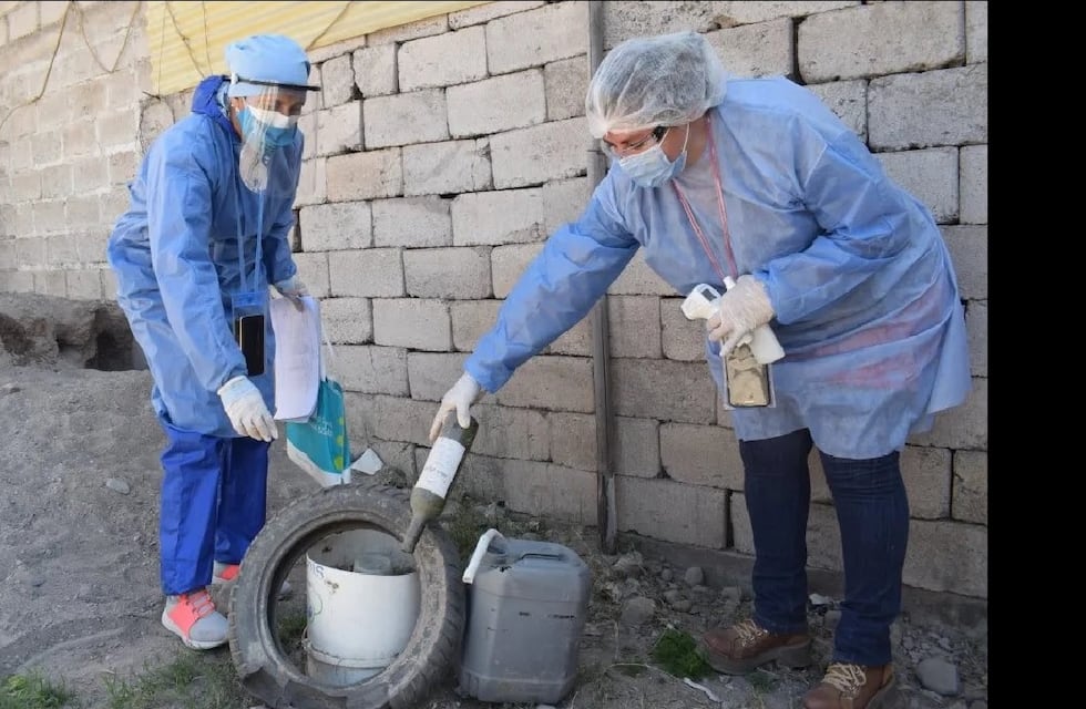 Los contagios por dengue en Jujuy crecen a razón de dos por día