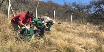 Personal de la Secretaría de Medio Ambiente y Parques liberó 41 aves canoras autóctonas y un quirquincho en la Quebrada Las Higueritas en Luján. Gentileza ANSL