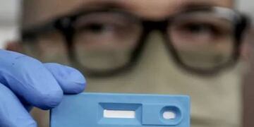 El objetivo del test es conocer cómo afecta el virus a animales de compañía y de producción, pensando en el concepto de "Una salud". (Cronista)