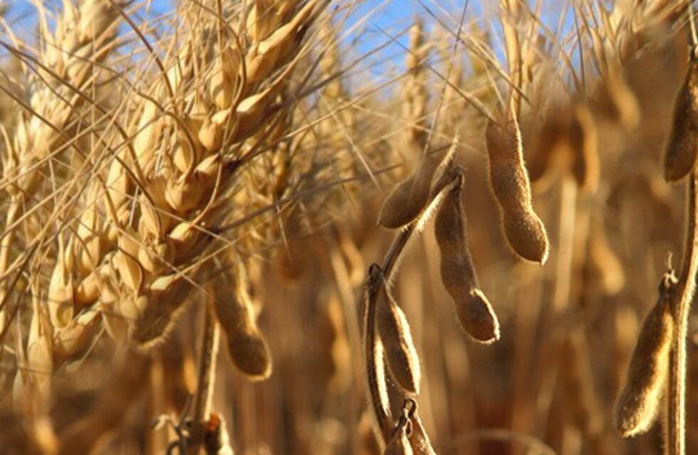 MERCADOS EN LAS FIESTAS