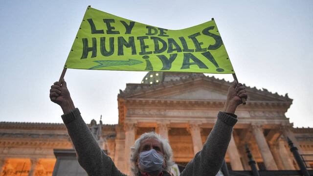 Ambientalistas marcharon en Buenos Aires por una ley de humedales.