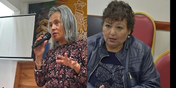 Mercedes Sosa (CEDEMS) - Susana Ustarez (APOC Jujuy)