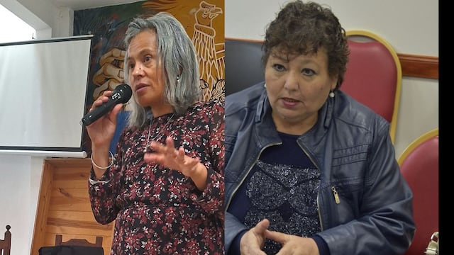 Mercedes Sosa (CEDEMS) - Susana Ustarez (APOC Jujuy)