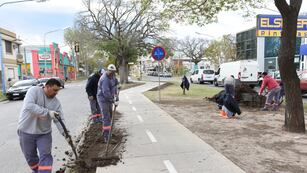 Trabajos en las ciclovías de Rafaela