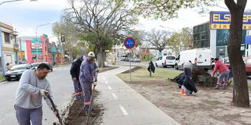 Trabajos en las ciclovías de Rafaela