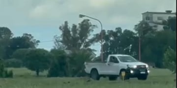 Se identificó al conductor del vehículo que realizó maniobras peligrosas en la vía pública: medio millón de pesos de multa