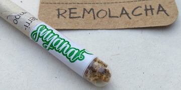 Matías y Dagma Miranda fabrican lápices de papel reciclado con semillas para cultivar.