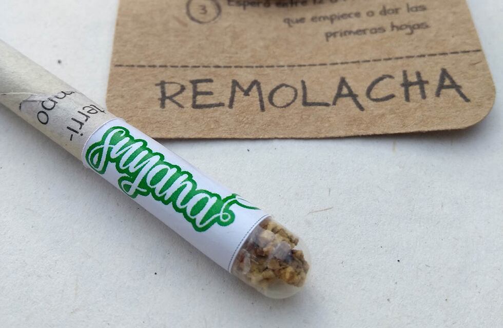 Revolucionaron la escritura con el lápiz de papel y ahora hacen “lápices plantables”