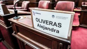 Locomotora Oliveras debía asumir como convencional constituyente de Santa Fe el mismo día que sufrió el ACV.